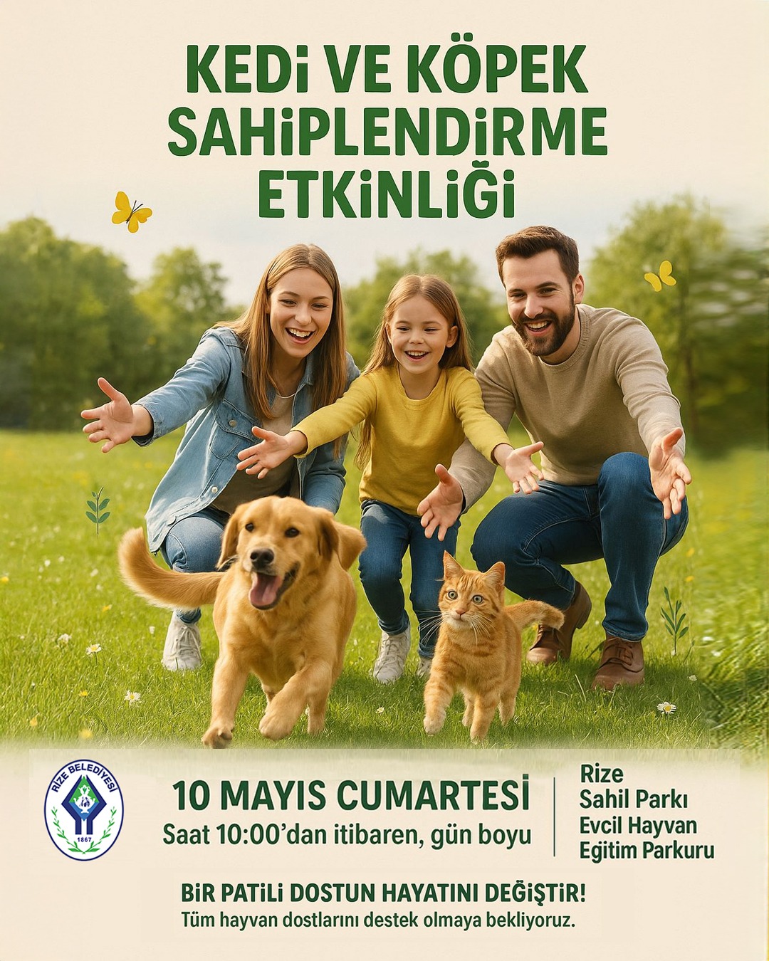 Rize Belediyesi ve Rihayko Derneği işbirliğiyle Kedi ve Köpek Sahiplendirme Etkinliği düzenleniyor!